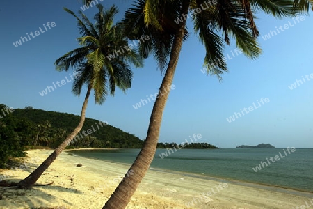 Ein Strand bei Chumphon an der Schiffsstation fuer die weiterfahrt zur Insel To Tao im Golf von Thailand im Suedwesten von Thailand in Suedostasien.  