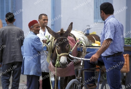 Der Souq oder Markt in der Altstadt oder Medina von Sousse am Mittelmeer  in Tunesien in Nordafrika.   