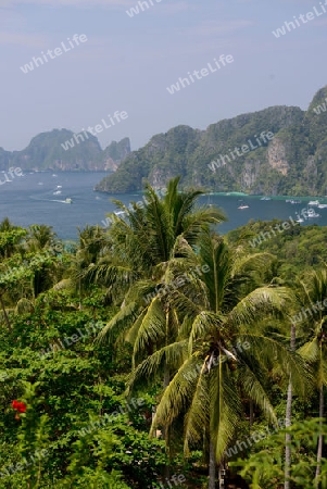 The view from the Viewpoint on the Town of Ko PhiPhi on Ko Phi Phi Island outside of the City of Krabi on the Andaman Sea in the south of Thailand. 