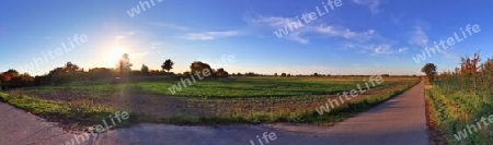 Beautiful high resolution panorama of a northern european country landscape with fields and green grass.