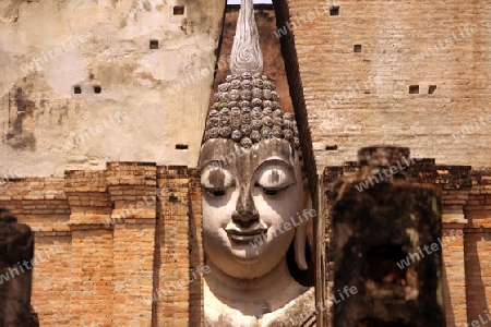 Die Buddha Figur  im Wat Si Chum Tempel in der Tempelanlage von Alt-Sukhothai in der Provinz Sukhothai im Norden von Thailand in Suedostasien.