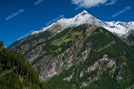 Der Eingang zum Floitengrund bei Ginzling