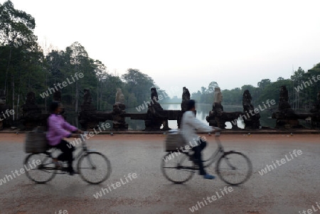 The Bridge at the Angkor Tom Gate in the Temple City of Angkor near the City of Siem Riep in the west of Cambodia.