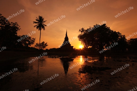 Ein Chedi beim Wat Mahathat Tempel in der Tempelanlage von Alt-Sukhothai in der Provinz Sukhothai im Norden von Thailand in Suedostasien.