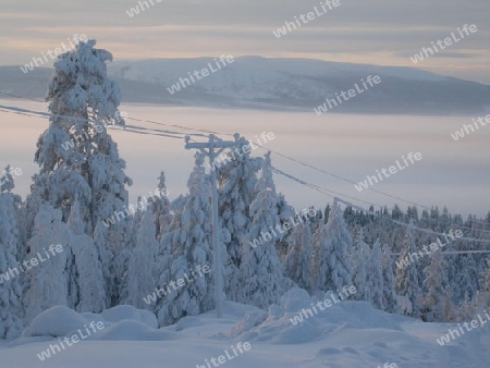 Schwedischer Winter / Ausblick