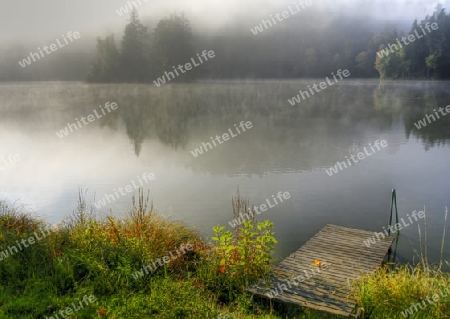 Herbst am Teich