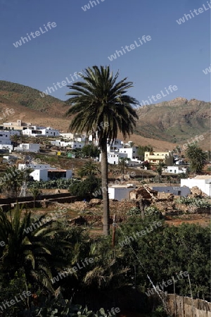 the Village Toto on the Island Fuerteventura on the Canary island of Spain in the Atlantic Ocean.