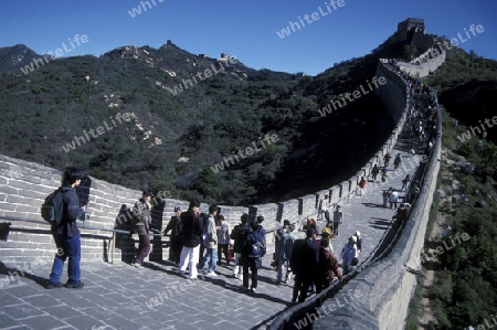 the great wall near the city of beijing in the east of china in east asia. 