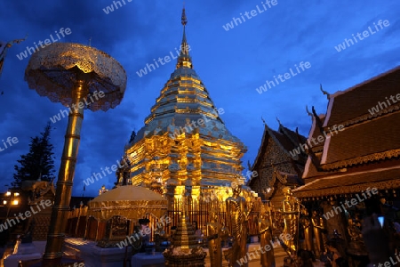 Der Chedi der Tempel Anlage des Wat Phra That Doi Suthep bei Chiang Mai in der Provinz Chiang Mai im Norden von Thailand in Suedostasien.