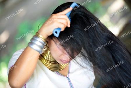 Eine Traditionell gekleidete Langhals Frau eines Paudang Stammes aus Burma lebt in einem Dorf noerdlich von Chiang Mai in Nord Thailand. 