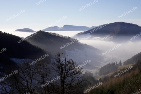 Nebelmeer im Jura