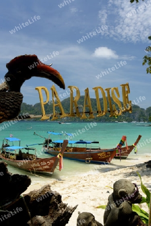 A Beach on the Island of Ko PhiPhi on Ko Phi Phi Island outside of the City of Krabi on the Andaman Sea in the south of Thailand. 