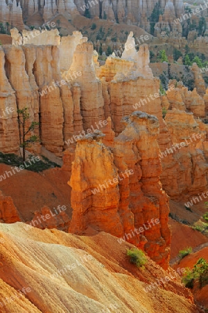 Felsformationen und Hoodoos waehrend Sonnenaufgang, Sunrise Point, Bryce Canyon Nationalpark, Utah, Suedwesten USA