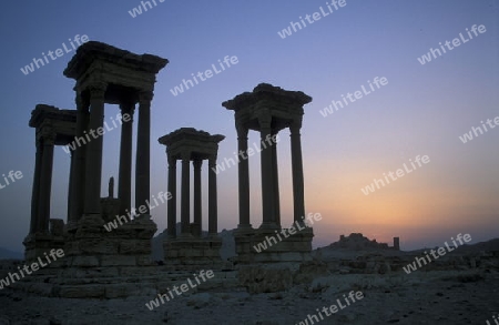 Die Ruinen von Palmyra in der Wueste Faydat in Syrien im Mittleren Osten in Arabien.