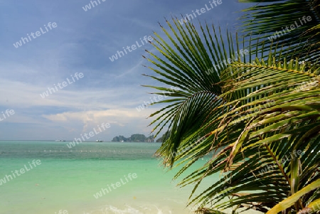 A Beach on the Island of Ko PhiPhi on Ko Phi Phi Island outside of the City of Krabi on the Andaman Sea in the south of Thailand. 