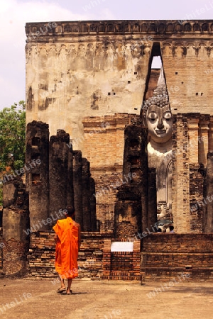 Die Buddha Figur  im Wat Si Chum Tempel in der Tempelanlage von Alt-Sukhothai in der Provinz Sukhothai im Norden von Thailand in Suedostasien.