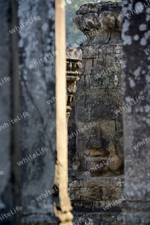 Stone Faces the Tempel Ruin of Angkor Thom in the Temple City of Angkor near the City of Siem Riep in the west of Cambodia.