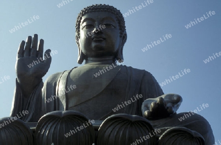 The Giant Buddha on the Island Lantau in Hong Kong in the south of China in Asia.