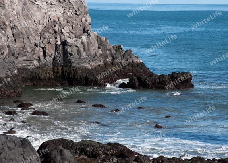 Der Westen Islands, Blick auf den Lavastrand bei Arnastapi, am westlichen Ende der Halbinsel Sn?fellsnes