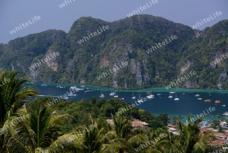 The view from the Viewpoint on the Town of Ko PhiPhi on Ko Phi Phi Island outside of the City of Krabi on the Andaman Sea in the south of Thailand. 