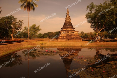 Ein Chedi beim Wat Mahathat Tempel in der Tempelanlage von Alt-Sukhothai in der Provinz Sukhothai im Norden von Thailand in Suedostasien.