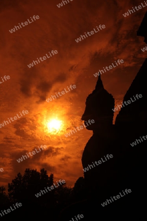 Eine Buddha Figur  im Wat Mahathat Tempel in der Tempelanlage von Alt-Sukhothai in der Provinz Sukhothai im Norden von Thailand in Suedostasien.