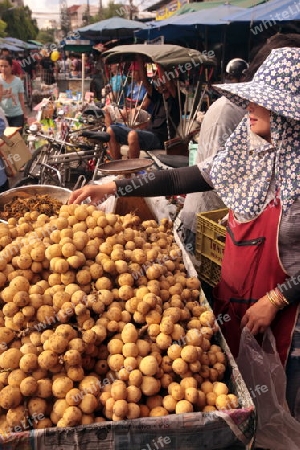 Menschen auf dem Grossen Lebensmittelmarkt von Talat Warorot in Chiang Mai im Norden von Thailand.