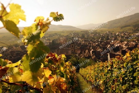 the olt town of the village of Riquewihr in the province of Alsace in France in Europe