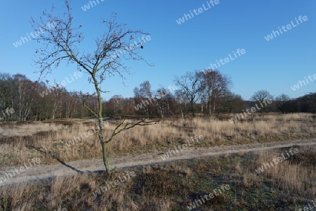 Hamburg, Boberger Niederung