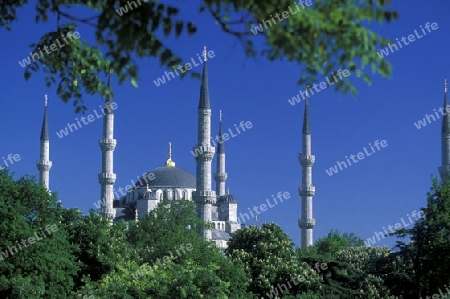 Die Blaue Moschee im Stadtteil Sulranahmet in Istanbul in der Tuerkey.