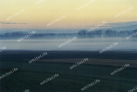 Morgennebel