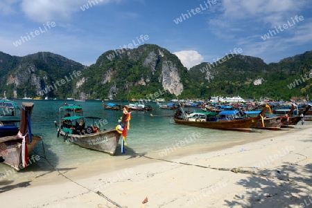 A Beach in the Town of Ko PhiPhi on Ko Phi Phi Island outside of  the City of Krabi on the Andaman Sea in the south of Thailand. 