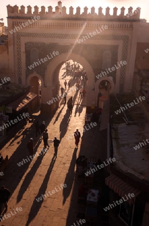 The blue Gate at the Bab Bou Jeloud in the old City in the historical Town of Fes in Morocco in north Africa.