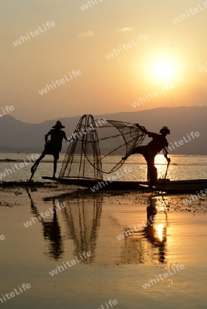 Fishermen at sunset in the Landscape on the Inle Lake in the Shan State in the east of Myanmar in Southeastasia.