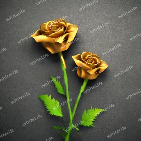 goldene rosen