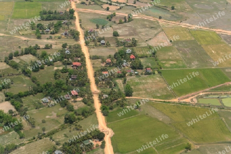 The Landscape with a ricefield near the City of Siem Riep in the west of Cambodia.