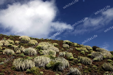 The landscape near the Village of  Temisas on the Canary Island of Spain in the Atlantic ocean.