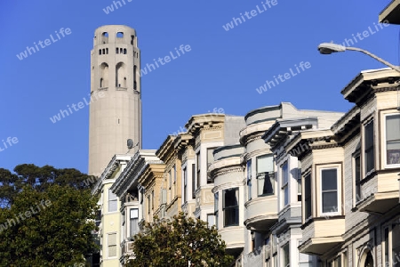 Coit Tower vor viktorianischen Fassaden in San Francisco, Kalifonien, USA