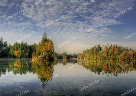 An den Moosburger Teichen im Herbst