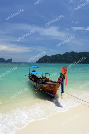 A Beach on the Island of Ko PhiPhi on Ko Phi Phi Island outside of the City of Krabi on the Andaman Sea in the south of Thailand. 