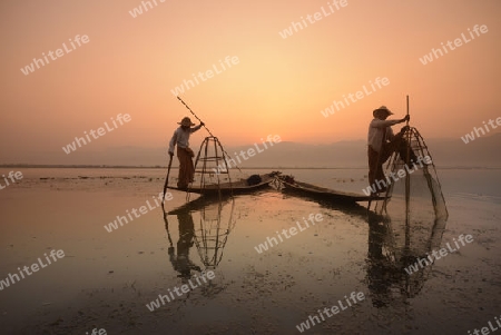 Fishermen at sunrise in the Landscape on the Inle Lake in the Shan State in the east of Myanmar in Southeastasia.