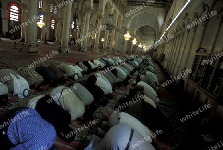 Muslime beim Beten in der Omaijaden Moschee in Damaskus der Hauptstadt von Syrien im Mittleren Osten in Arabien.