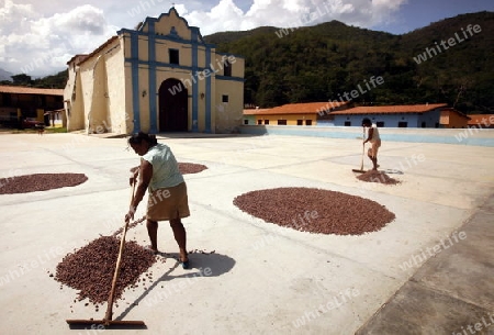 Suedamerika, Karibik, Venezuela, Nord, Chuao, National Park Hanri Pittier, Dorf, Cacao Dorf, Kakao Dorf, Kakao, Kakao Bohnen trocknen, Lufttrocknen, Frau, Arbeit, Export, Schockolade,  Kolonial, Kirche, Dorfkirche