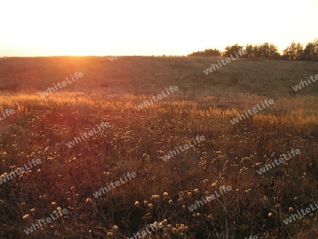 sonnenuntergang ?ber herbstwiese