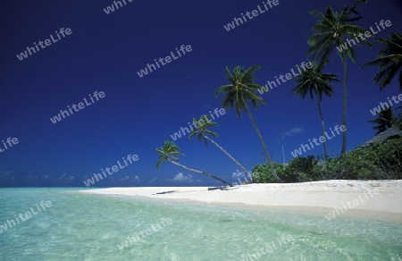 Ein Traumstrand auf einer Touristen Insel auf dem Malediven im Indischen Ozean.