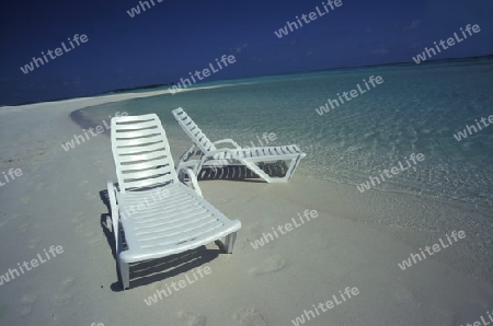 
Der Traumstrand mit Palmen und weissem Sand an der Insel Velavaru im Southmale Atoll auf den Inseln der Malediven im Indischen Ozean.   