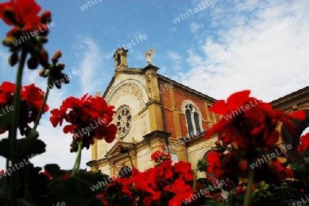 Kirche aus der Froschperspektive