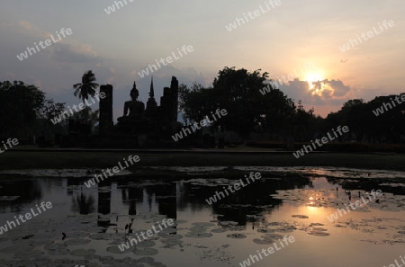 Eine Buddha Figur  im Wat Mahathat Tempel in der Tempelanlage von Alt-Sukhothai in der Provinz Sukhothai im Norden von Thailand in Suedostasien.