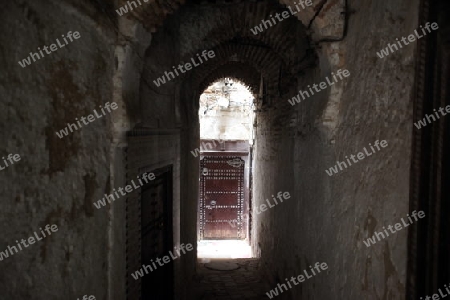 a smal Marketroad in the Medina of old City in the historical Town of Fes in Morocco in north Africa.