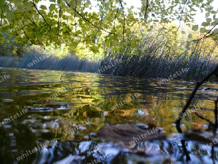 Wasser, See